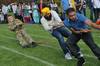 Vaisakhi mela 2013